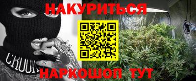 гидра Камышлов