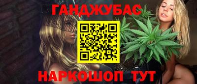 гидра Камышлов