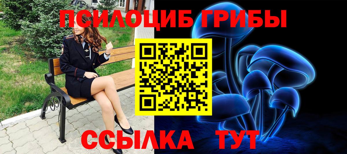 Галлюциногенные грибы ЛСД Кропоткин